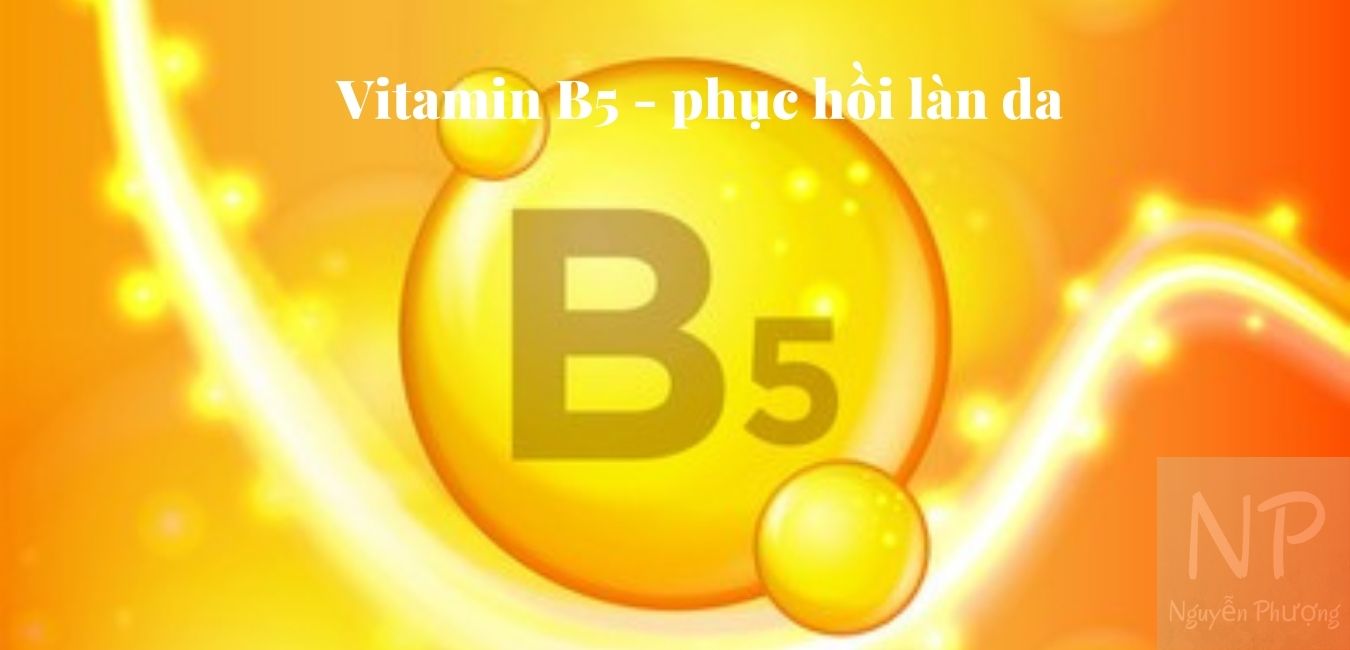Tác dụng của Vitamin B5