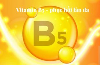 Tác dụng của Vitamin B5